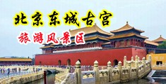 逼好紧15P中国北京-东城古宫旅游风景区